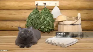 合肥按摩体验大PK：盲人按摩 VS 精油SPA，你的身体说了算！