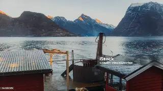 按摩神器大揭秘：选对工具，手残党也能变身养生达人！