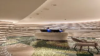 告别按摩小白！合肥养生达人教你快速入门，享受指尖上的放松魔法