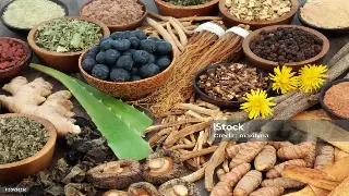 千年指尖舞：揭秘合肥按摩的古老渊源与现代养生之道