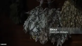 合肥按摩新手扫盲：告别盲按，掌握这几招让你秒变养生达人！